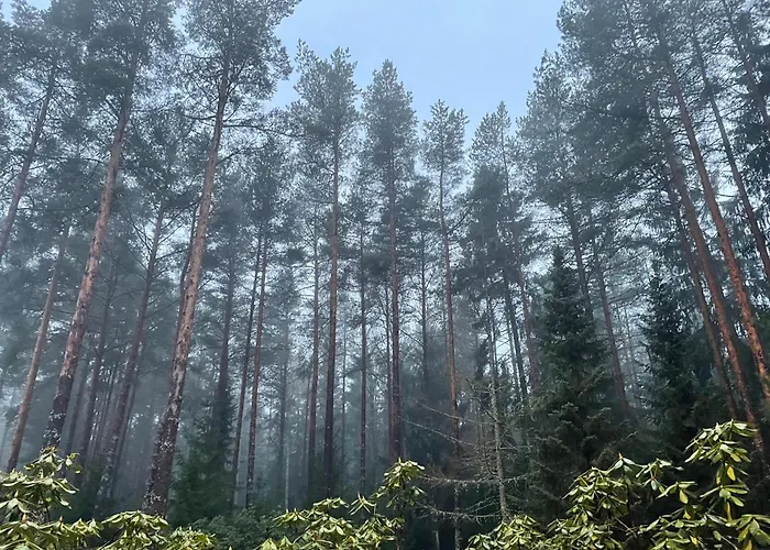 Kakumaee Raba - Puhkemaja Basseiniga Tallinnas *