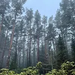 Kakumaee Raba - Puhkemaja Basseiniga Tallinnas *